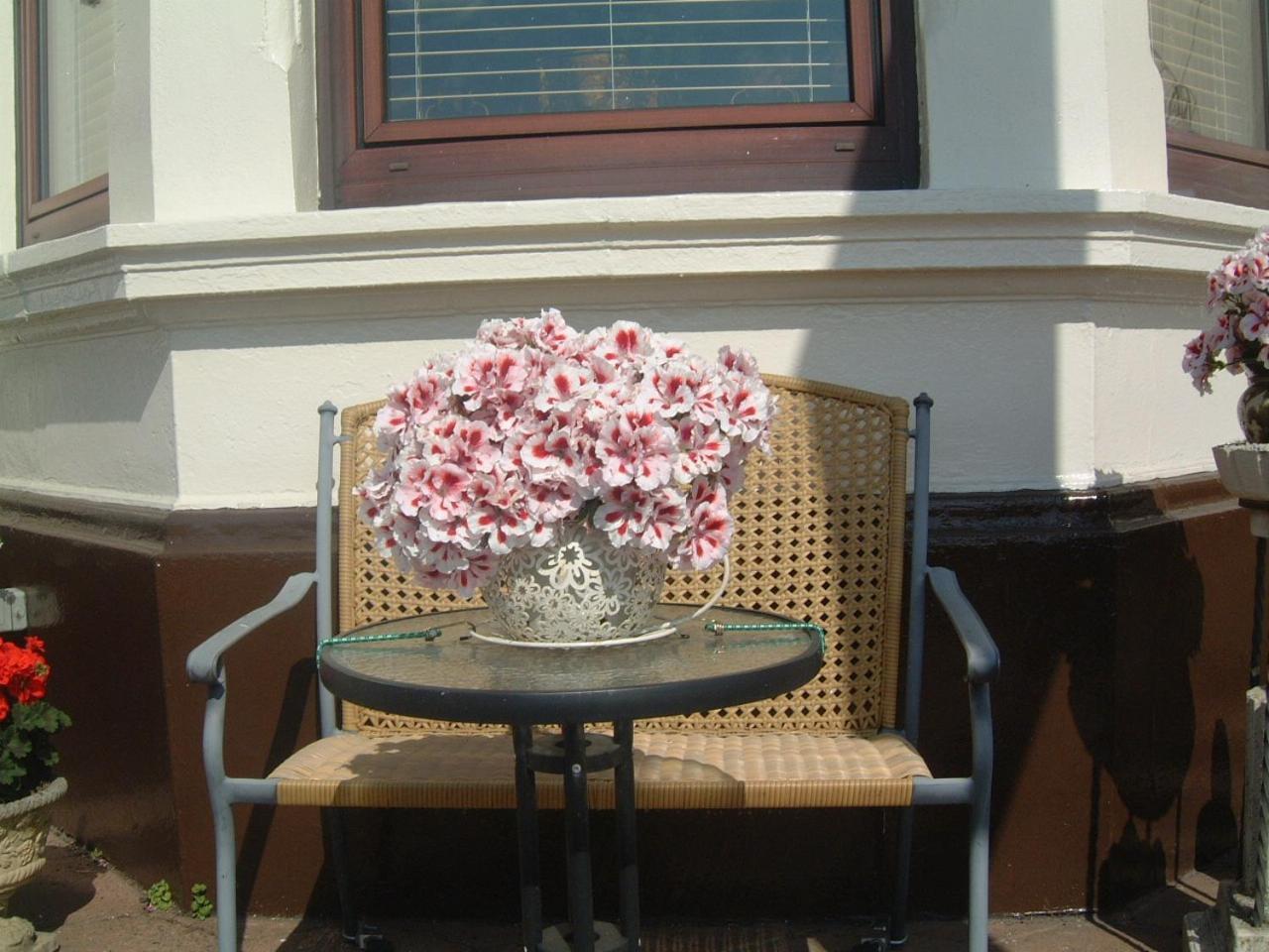 Manor House B And B Larne Ngoại thất bức ảnh